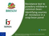 Resistance test to powdery mildew in common bean
