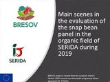 SERIDA: main scenes in the evaluation of snap bean panel in the organic field during 2019